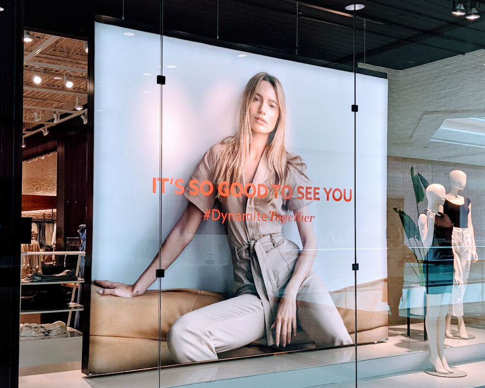 Performance® Series | 6